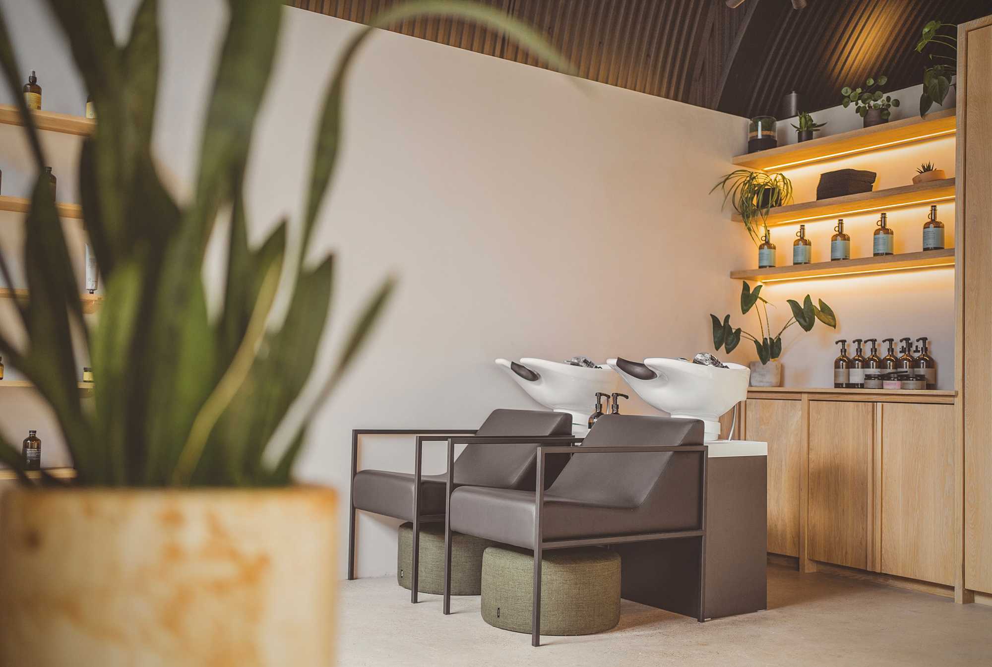 Alicia Hammersley-Fenton — Salon Decor ONESHOT Hair Awards entry