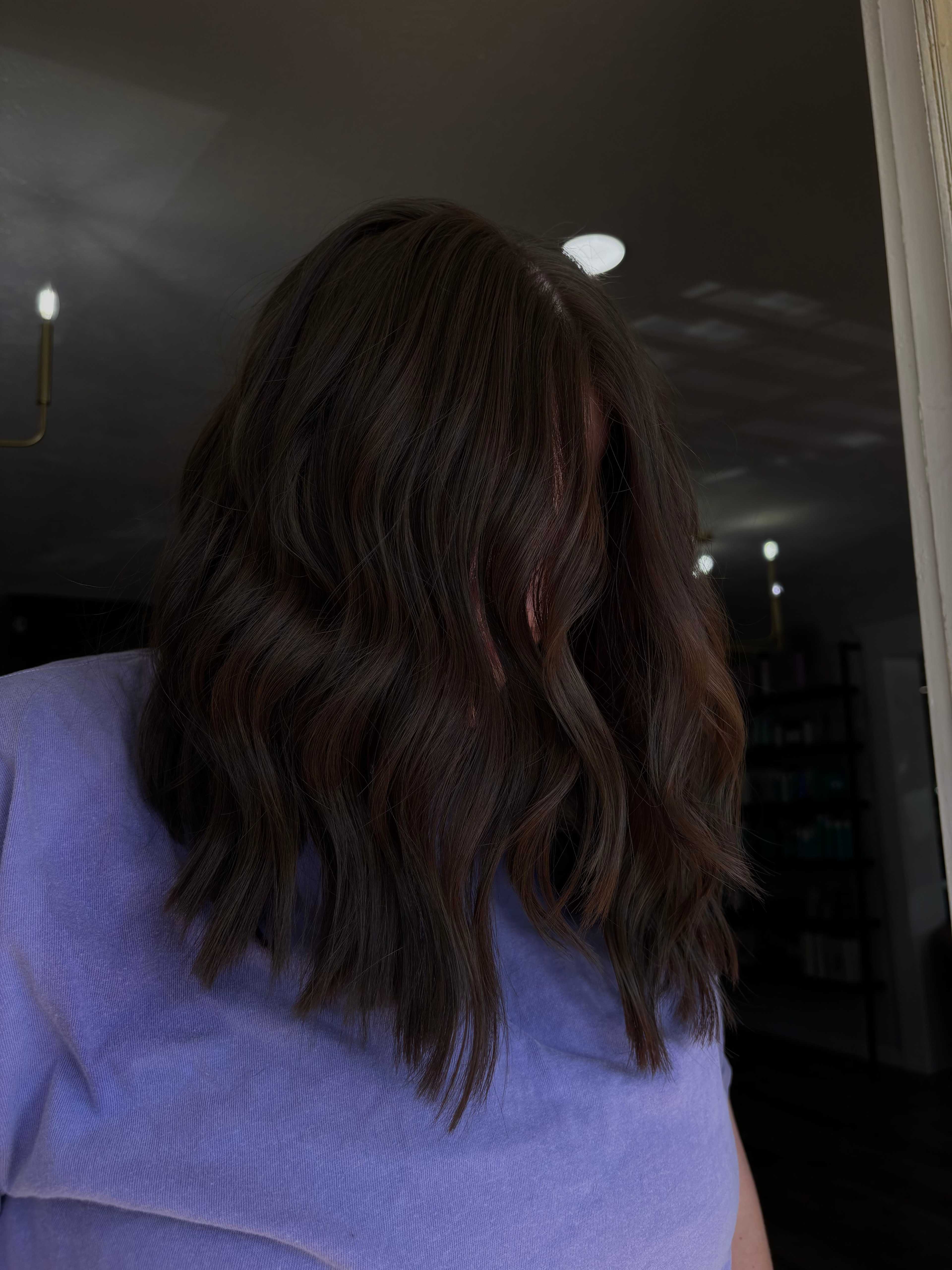 Ashlynn DeVeau — Brunettes ONESHOT Hair Awards entry