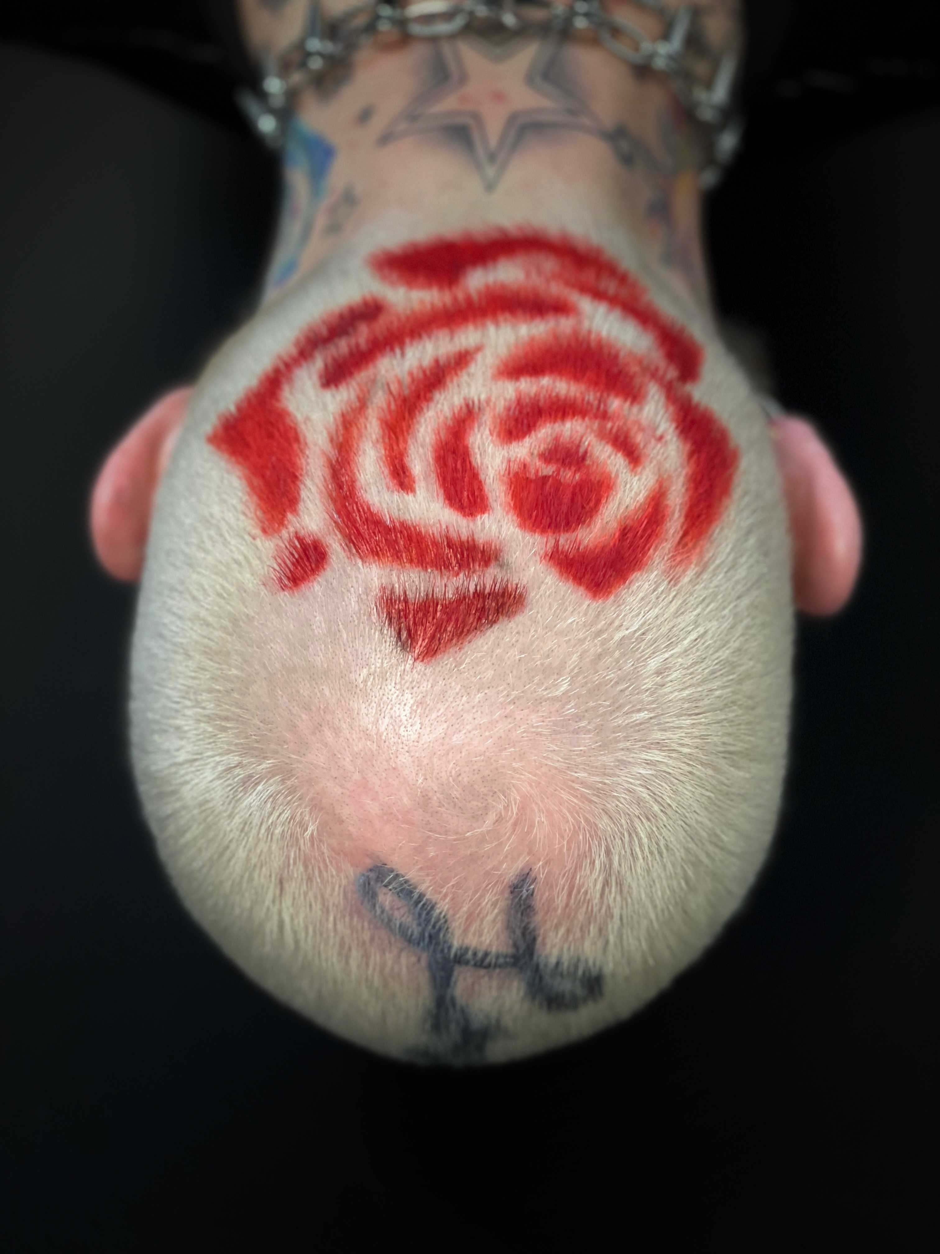 Anna Rosales — Hair Tattoo ONESHOT Hair Awards entry