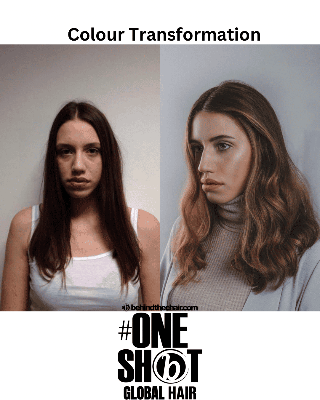 Evangeline Barrett — Color Transformation ONESHOT Hair Awards entry