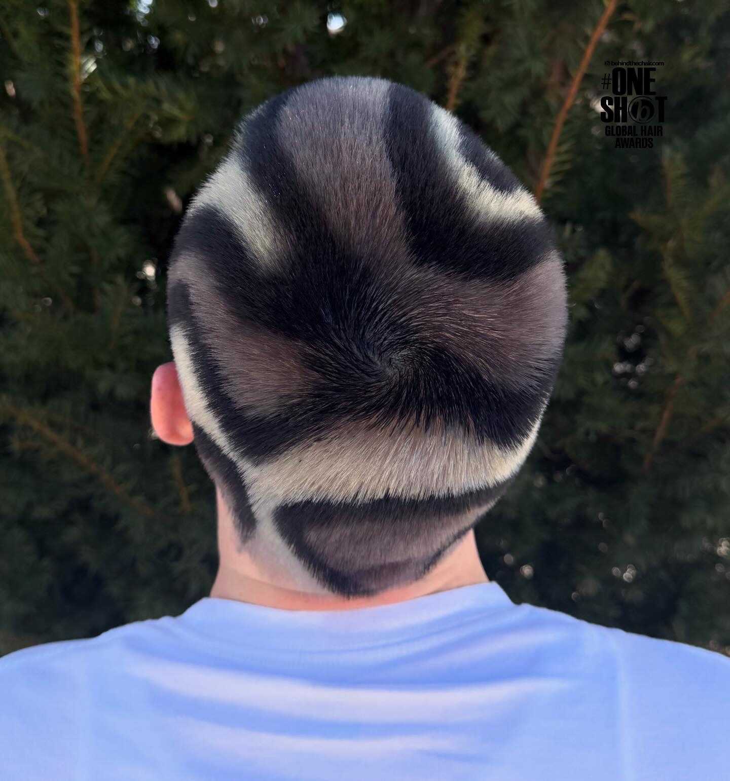 Alexis Baker — Creative Color ONESHOT Hair Awards entry