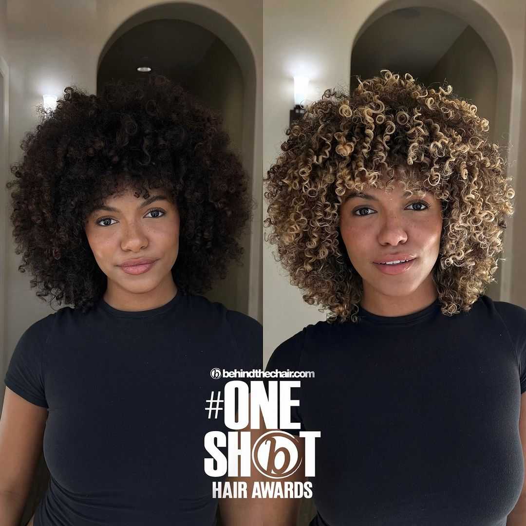 Desiree Johnson — Color Transformation ONESHOT Hair Awards entry