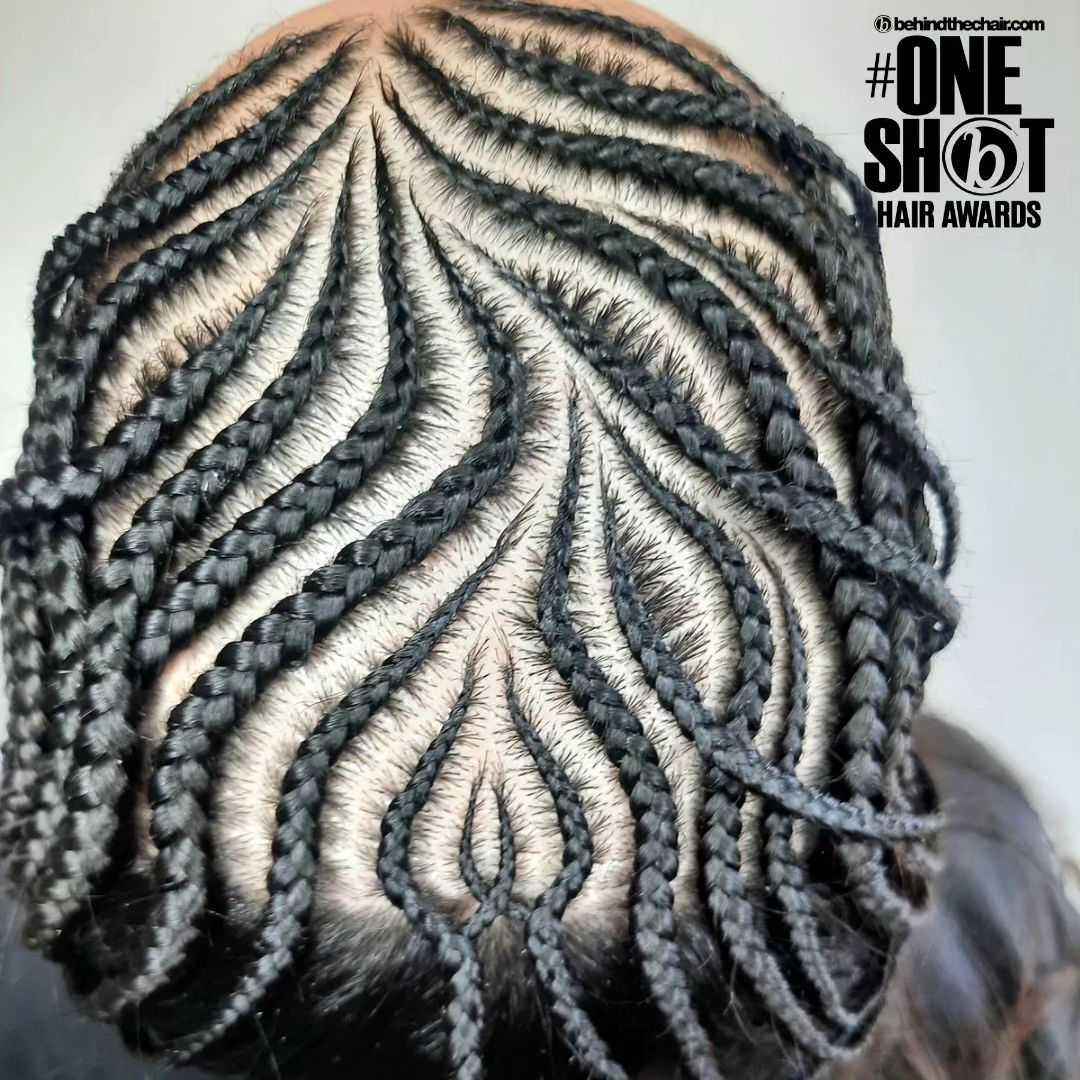 Viviana Celedon — Intricate Braids & Twists ONESHOT Hair Awards entry