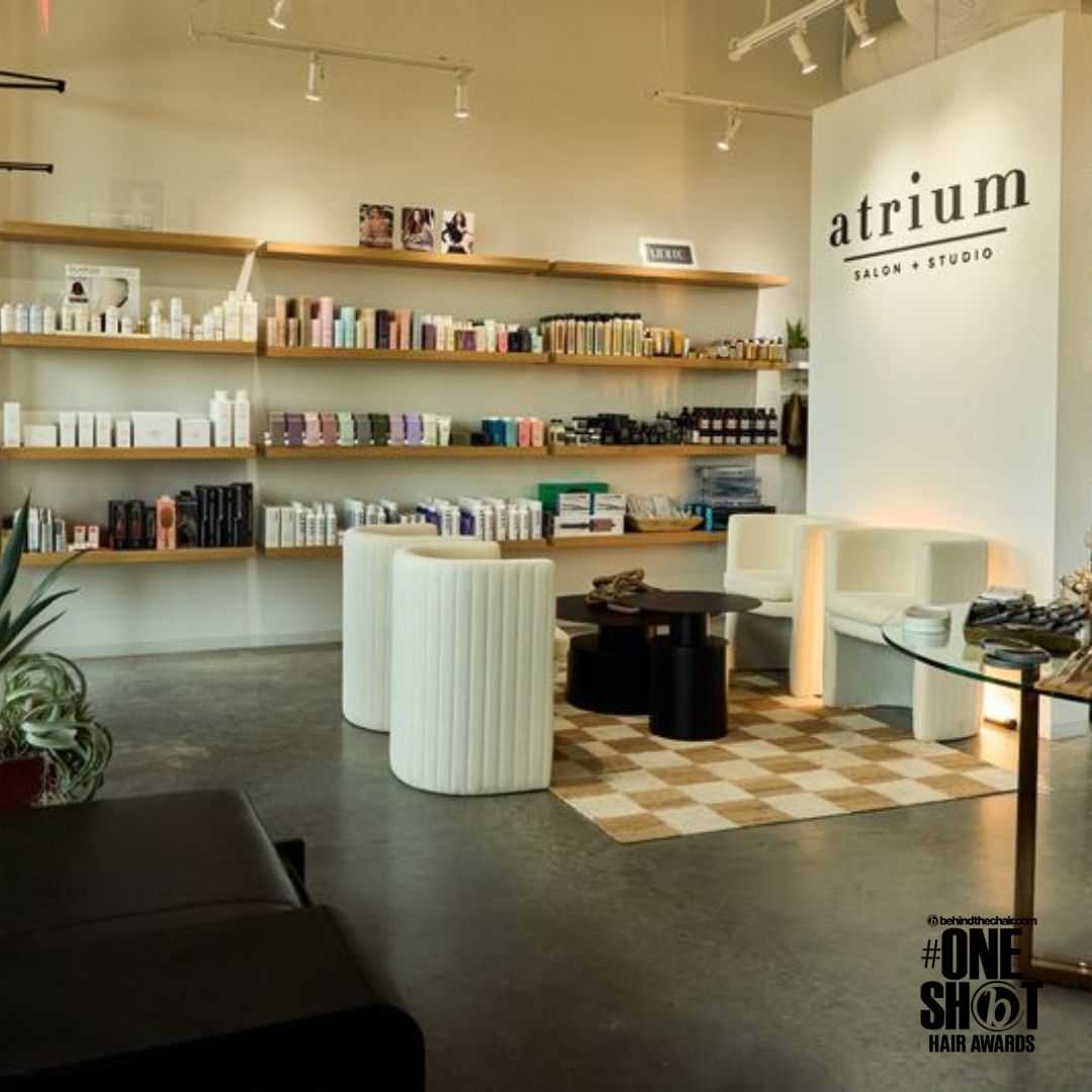 Anissa Shamieh — Salon Decor ONESHOT Hair Awards entry