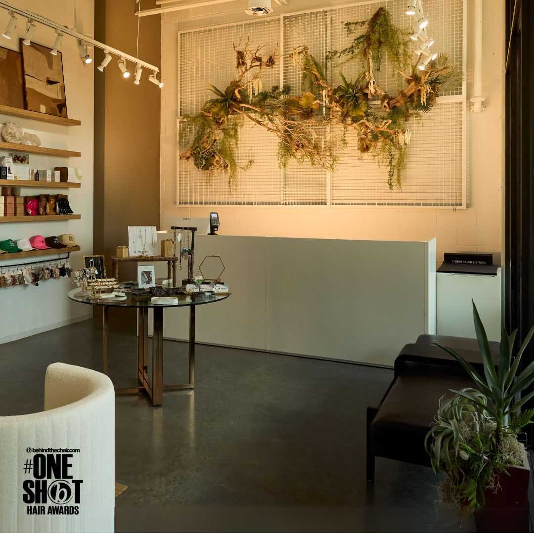 Anissa Shamieh — Salon Decor ONESHOT Hair Awards entry