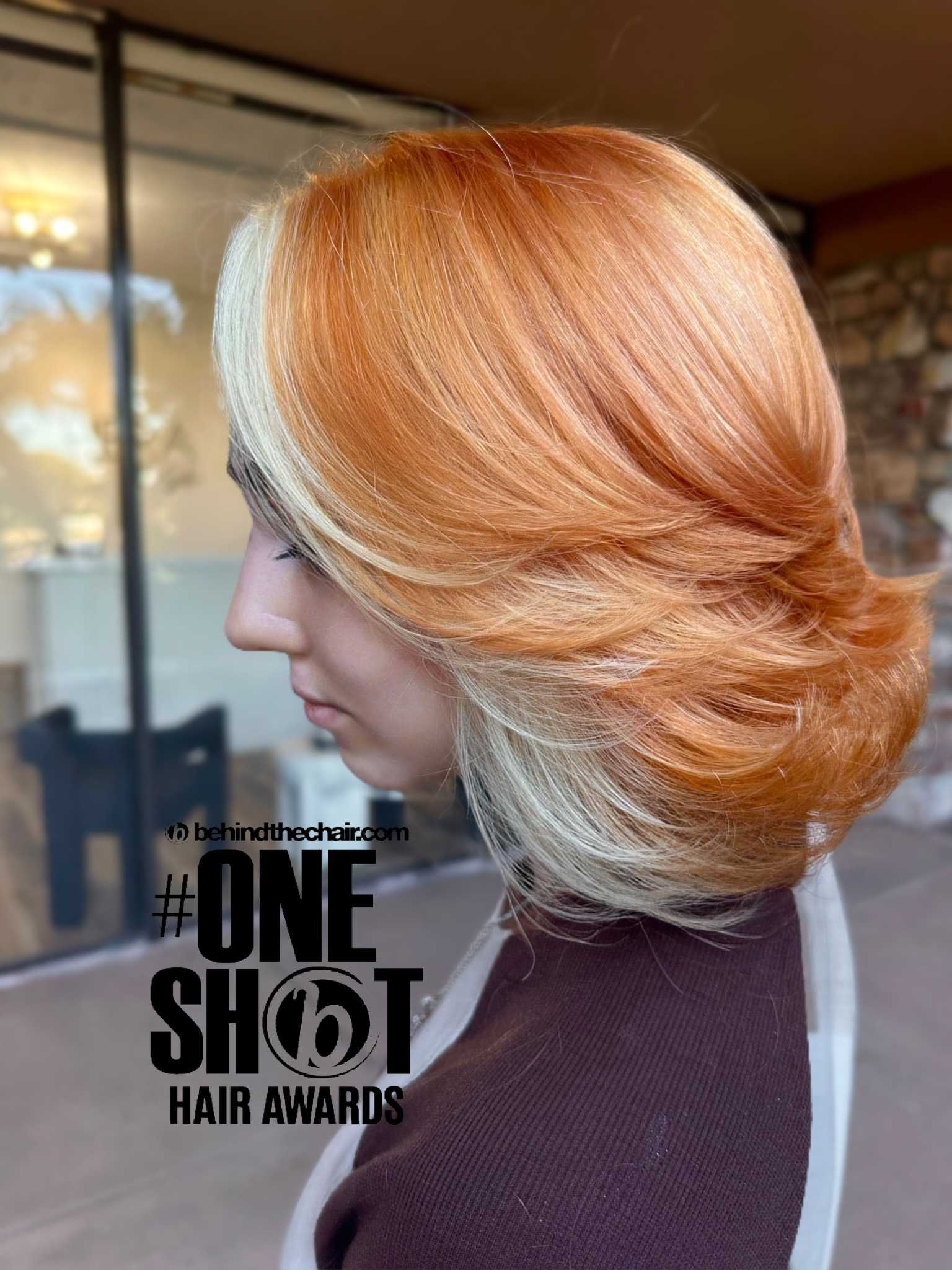 Sierra Adam — Color Blocking ONESHOT Hair Awards entry