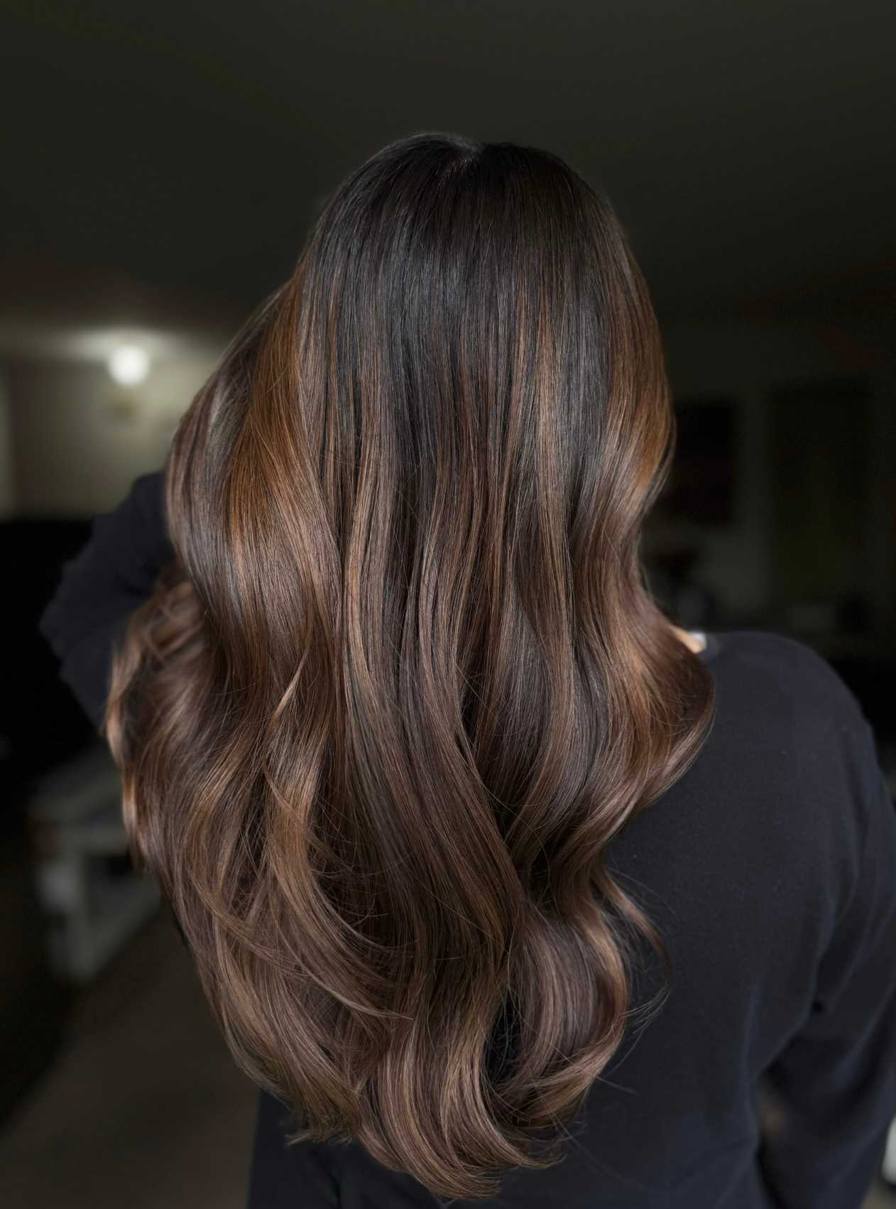Sharon Paniago — Brunettes ONESHOT Hair Awards entry