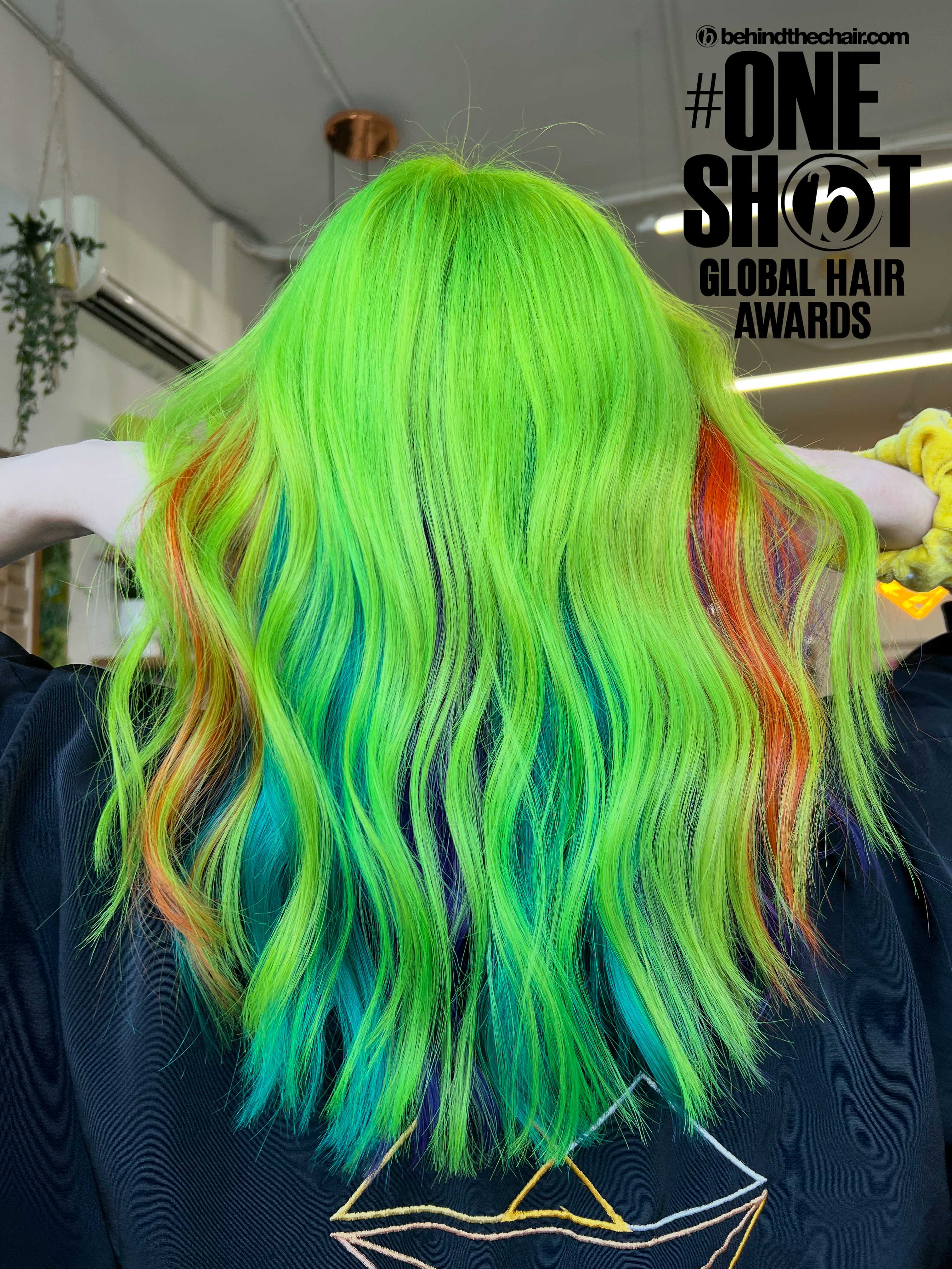 Abbie Jordan — Creative Color ONESHOT Hair Awards entry