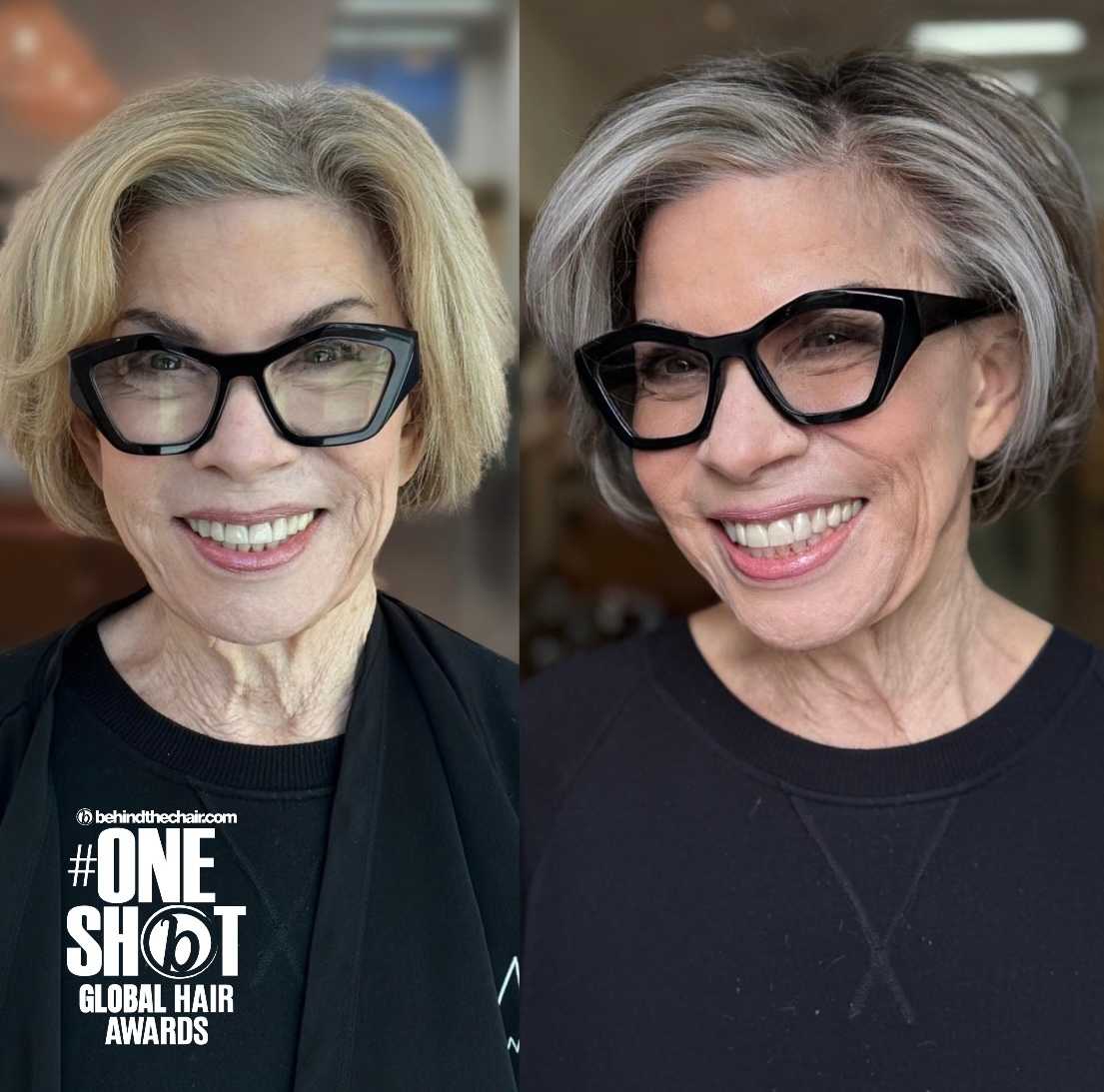 Stella Digiovanni — Color Transformation ONESHOT Hair Awards entry