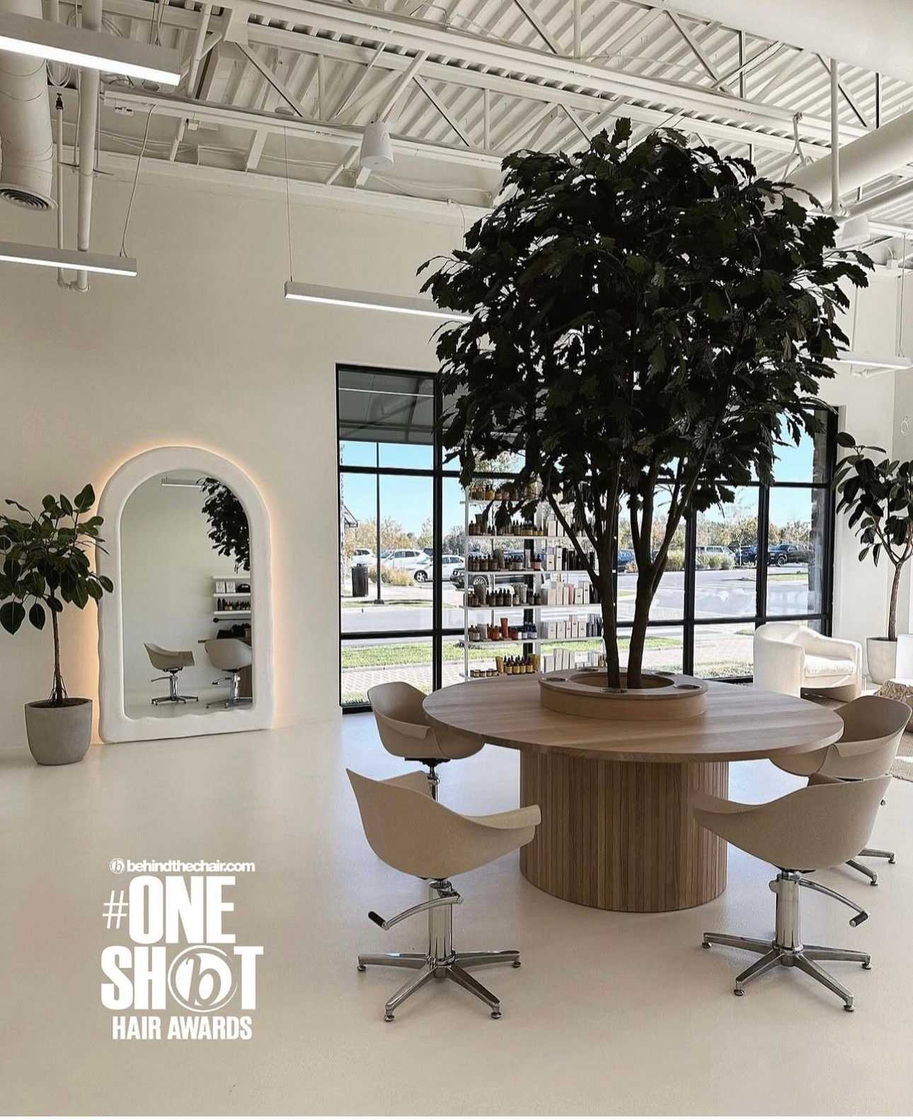 Deb Todd — Salon Decor ONESHOT Hair Awards entry