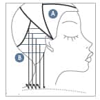 26161Cut Step 3_orig