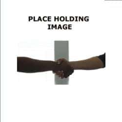 8768PlaceHolder_orig