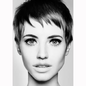 3294396_orig