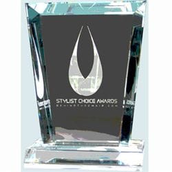 307665Award_crop_large_orig