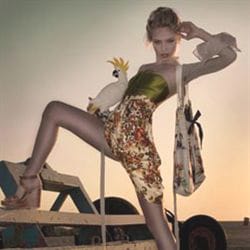 307768IMG_2724grademail_crop_largex_orig