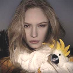 307765IMG_2794grademail_crop_largex_orig