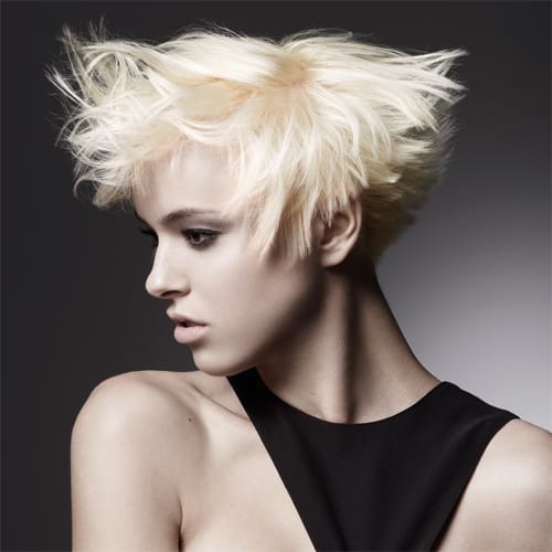 327382Image 7 copy_orig