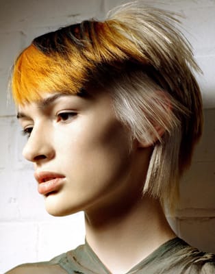 305827Mahogany_orig