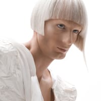 311724Master Stylist 2SQ_orig