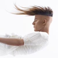 311726Master Stylist 4SQ_orig