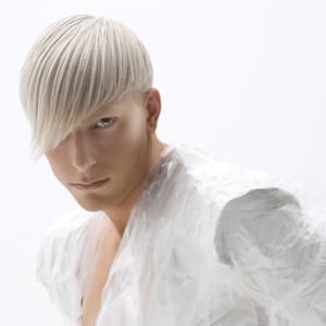 311727Master Stylist 5SQ_orig