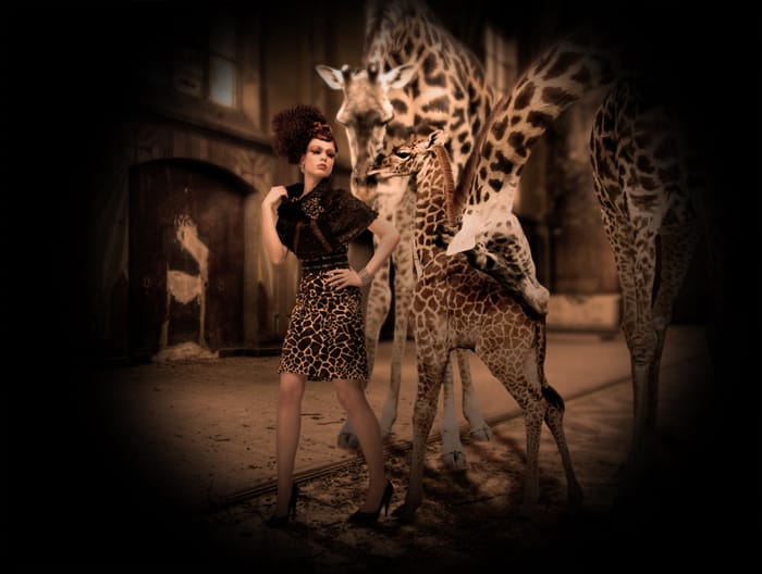319056african_orig