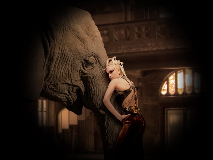 319059africandreams4a_orig