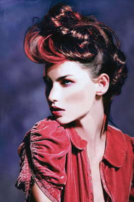 308713mowhawk _orig