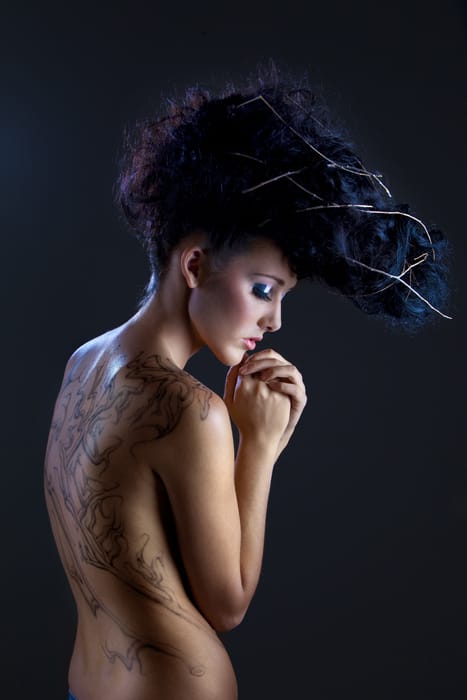 322908twigs-2-291-1_orig
