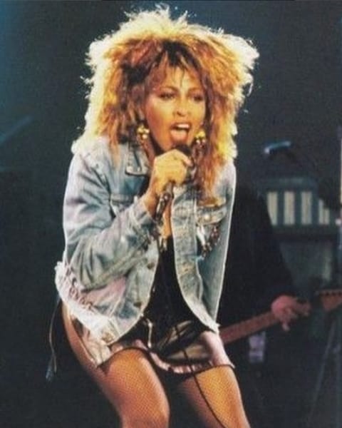 @tinaturner hair