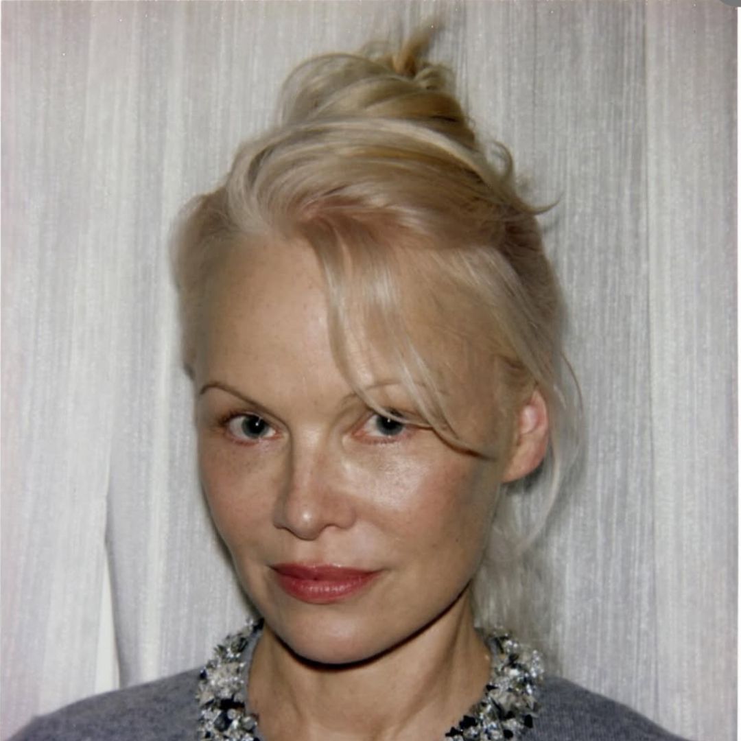 the modern french twist