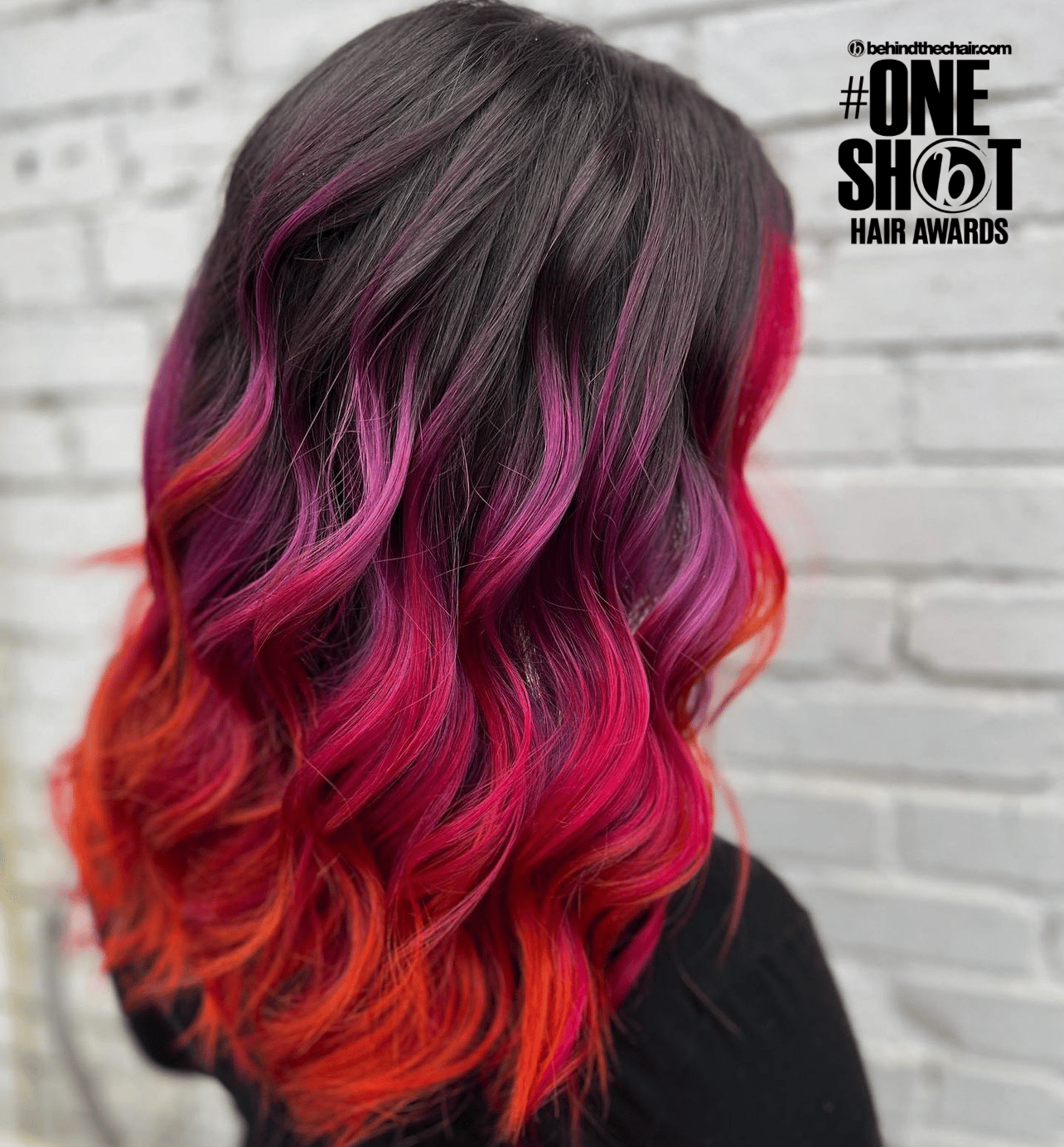 Robin Owens — Creative Color ONESHOT Hair Awards entry