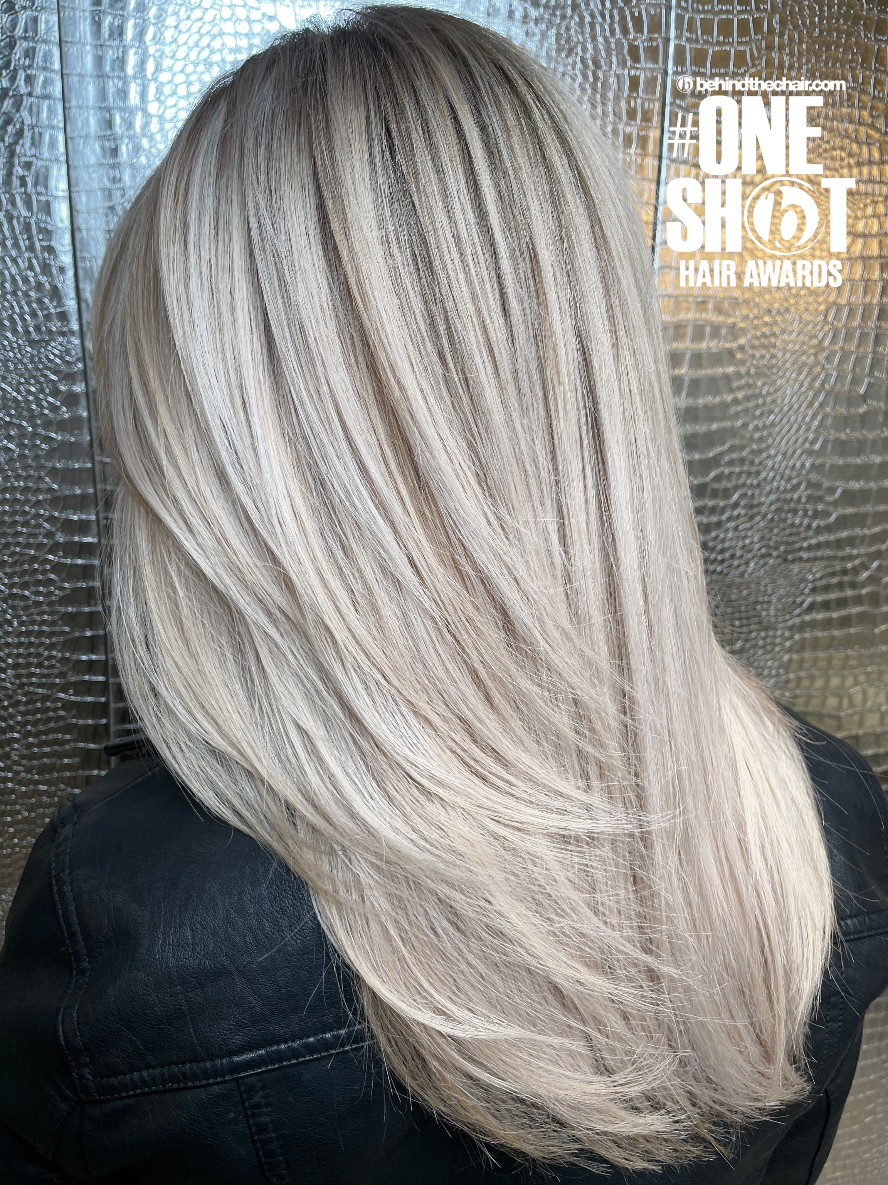 Darlene Crnkovic — Platinum ONESHOT Hair Awards entry