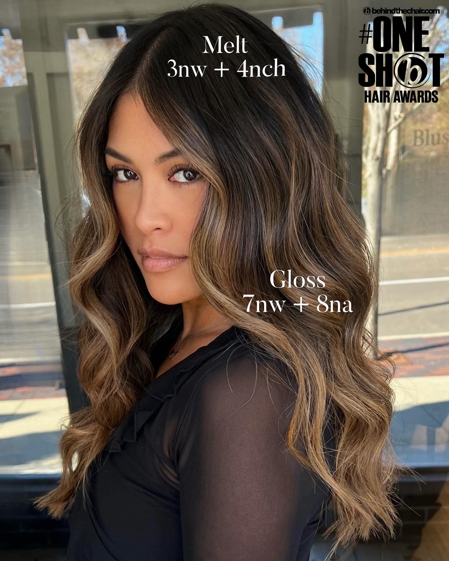 Elaine Cavada — Educational Post ONESHOT Hair Awards entry
