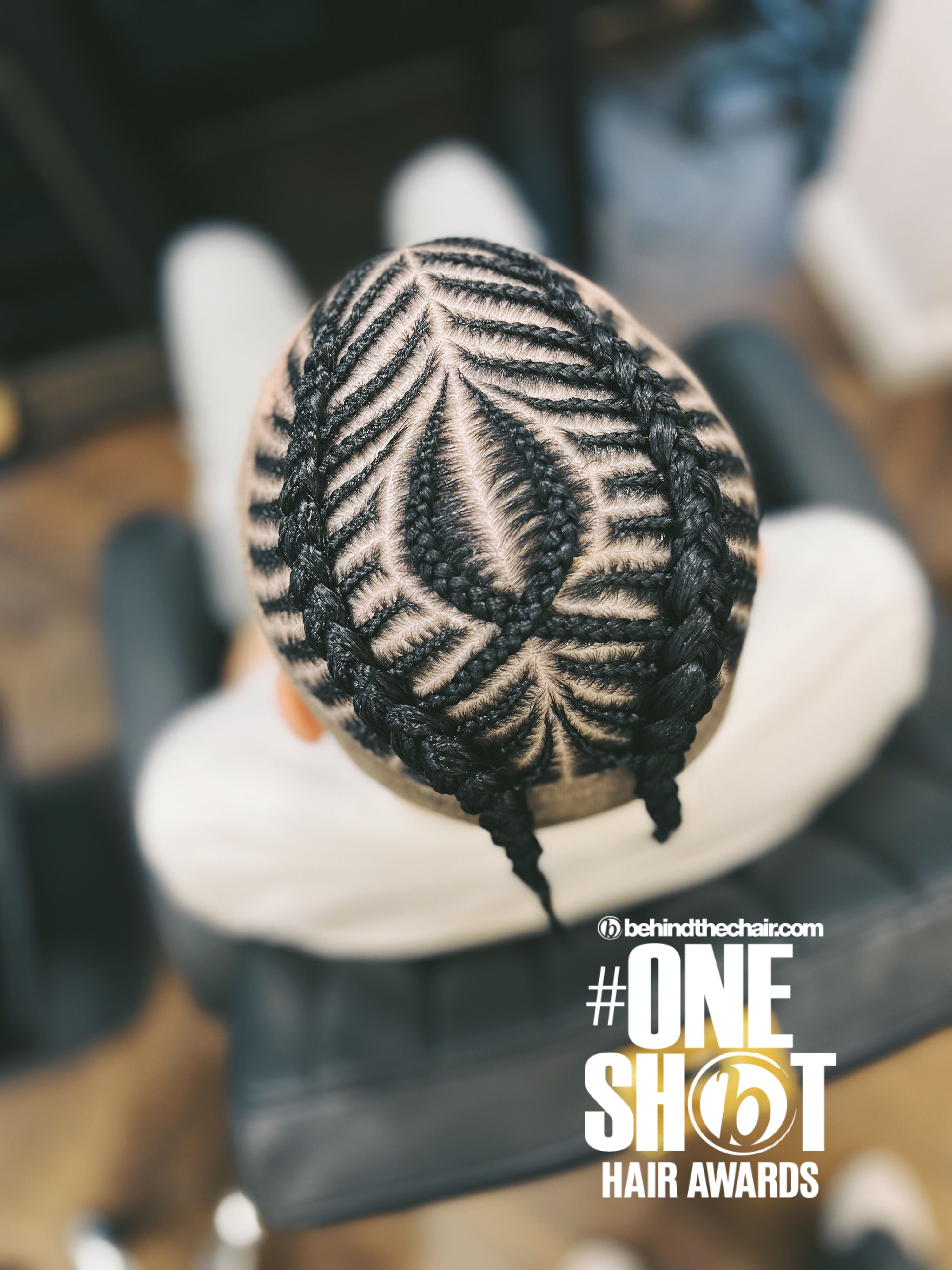 Liana Bieliauskiene — Intricate Braids & Twists ONESHOT Hair Awards entry