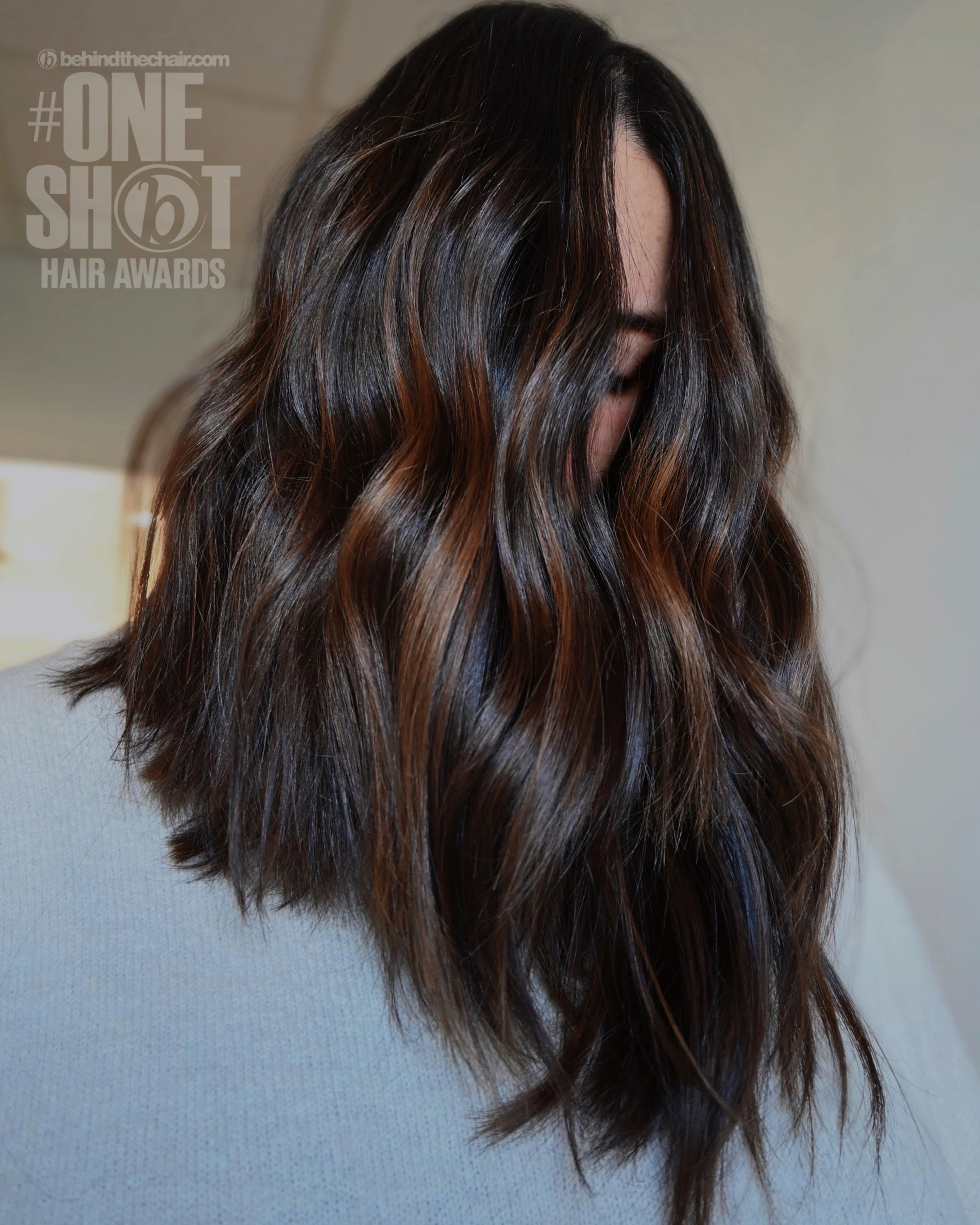 Chelsea Pellegrino — Brunettes ONESHOT Hair Awards entry