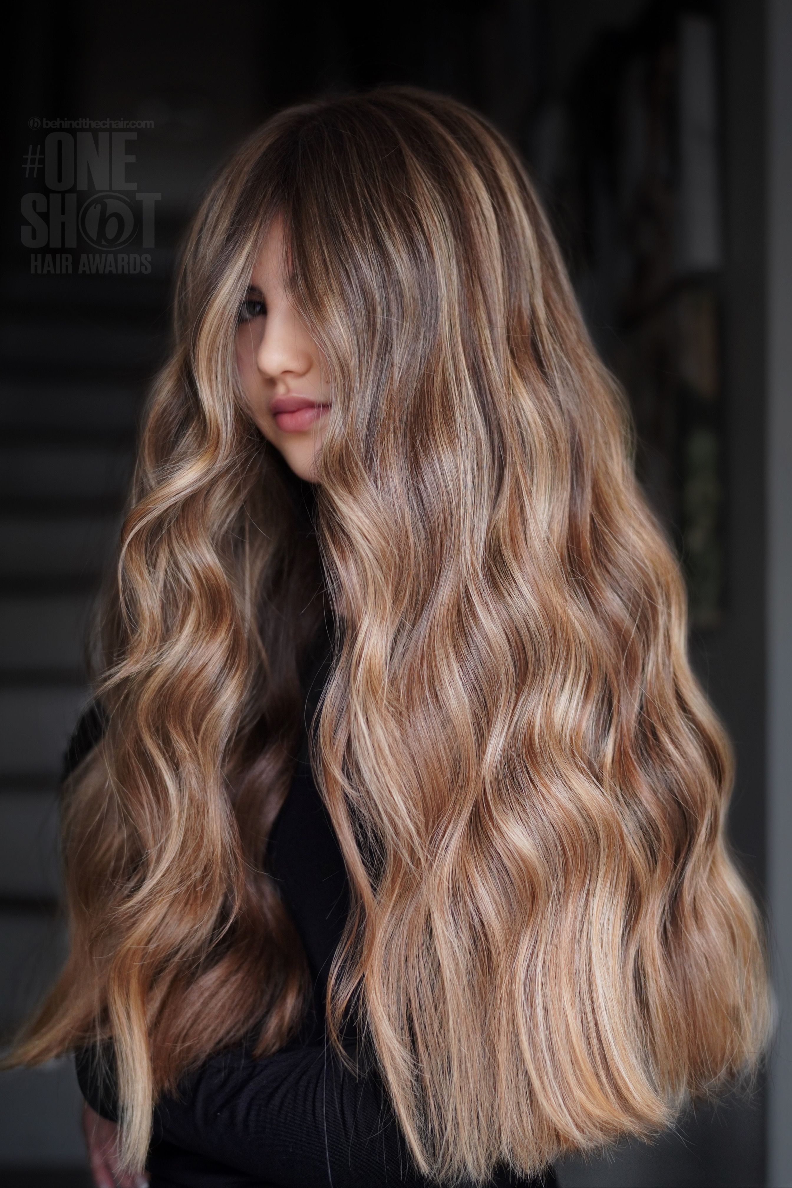 Ashley Rios — Warm Balayage ONESHOT Hair Awards entry