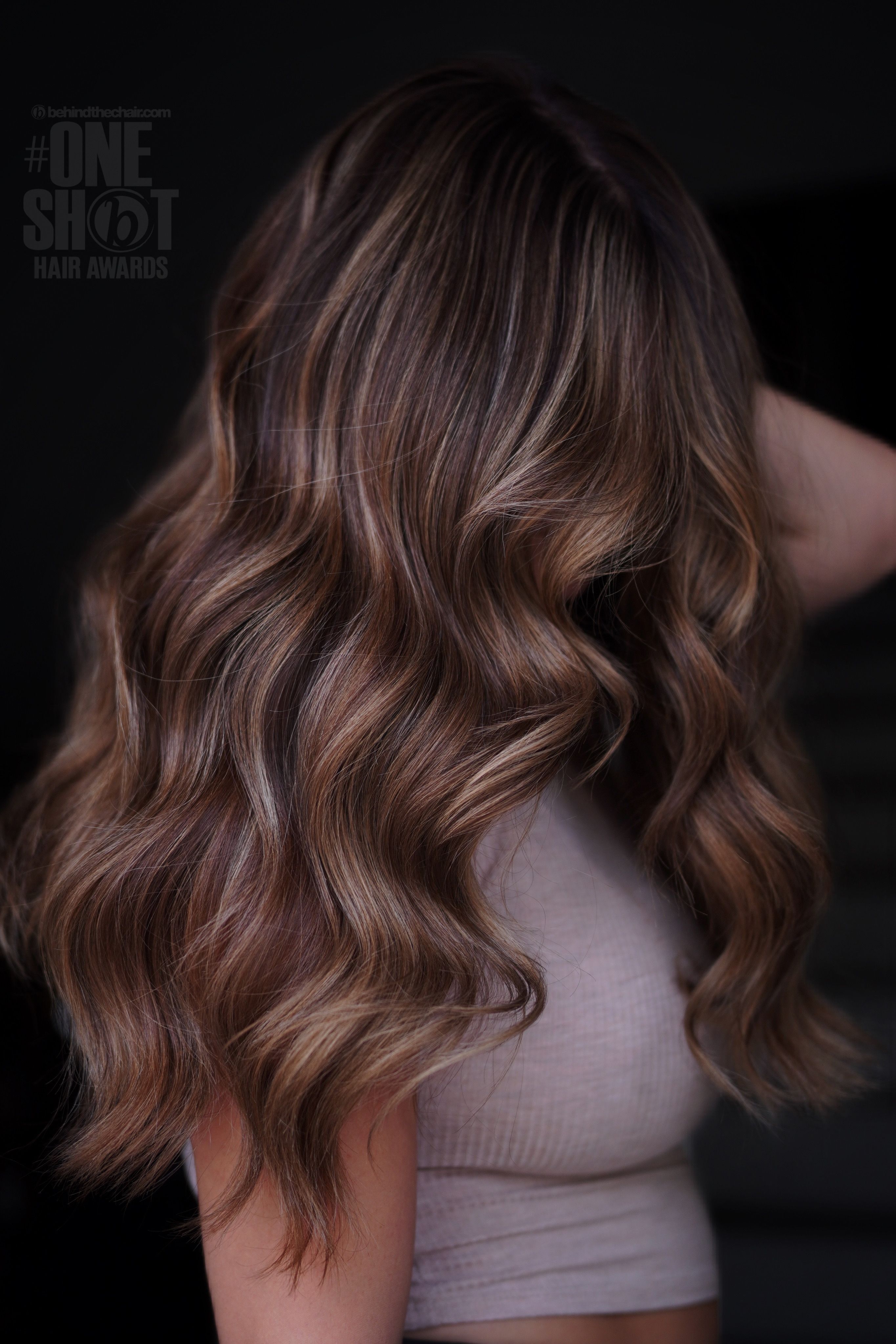 Ashley Rios — Brunettes ONESHOT Hair Awards entry