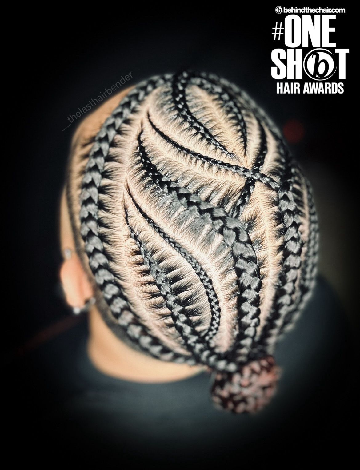Nayreli Nevarez — Intricate Braids & Twists ONESHOT Hair Awards entry