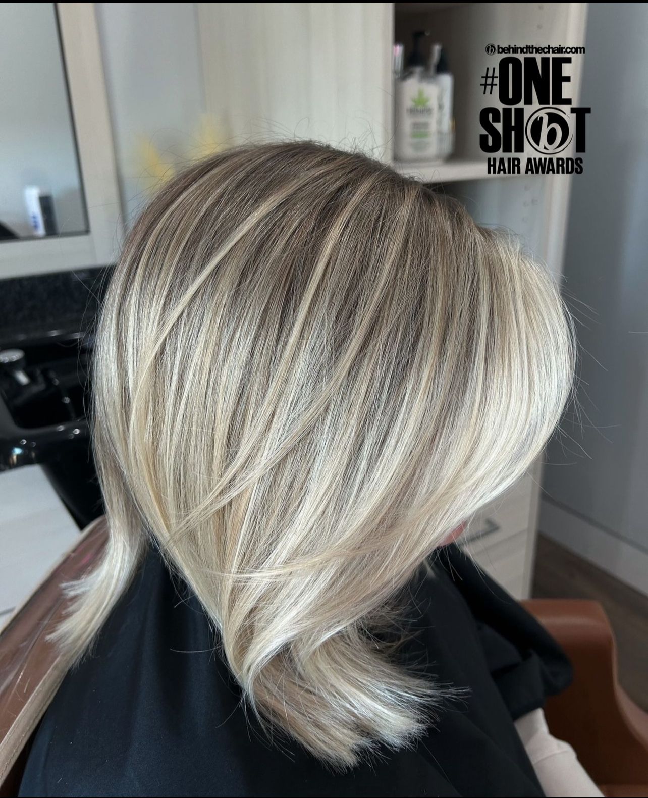 Kaelyn Moritsch — Cool Balayage ONESHOT Hair Awards entry
