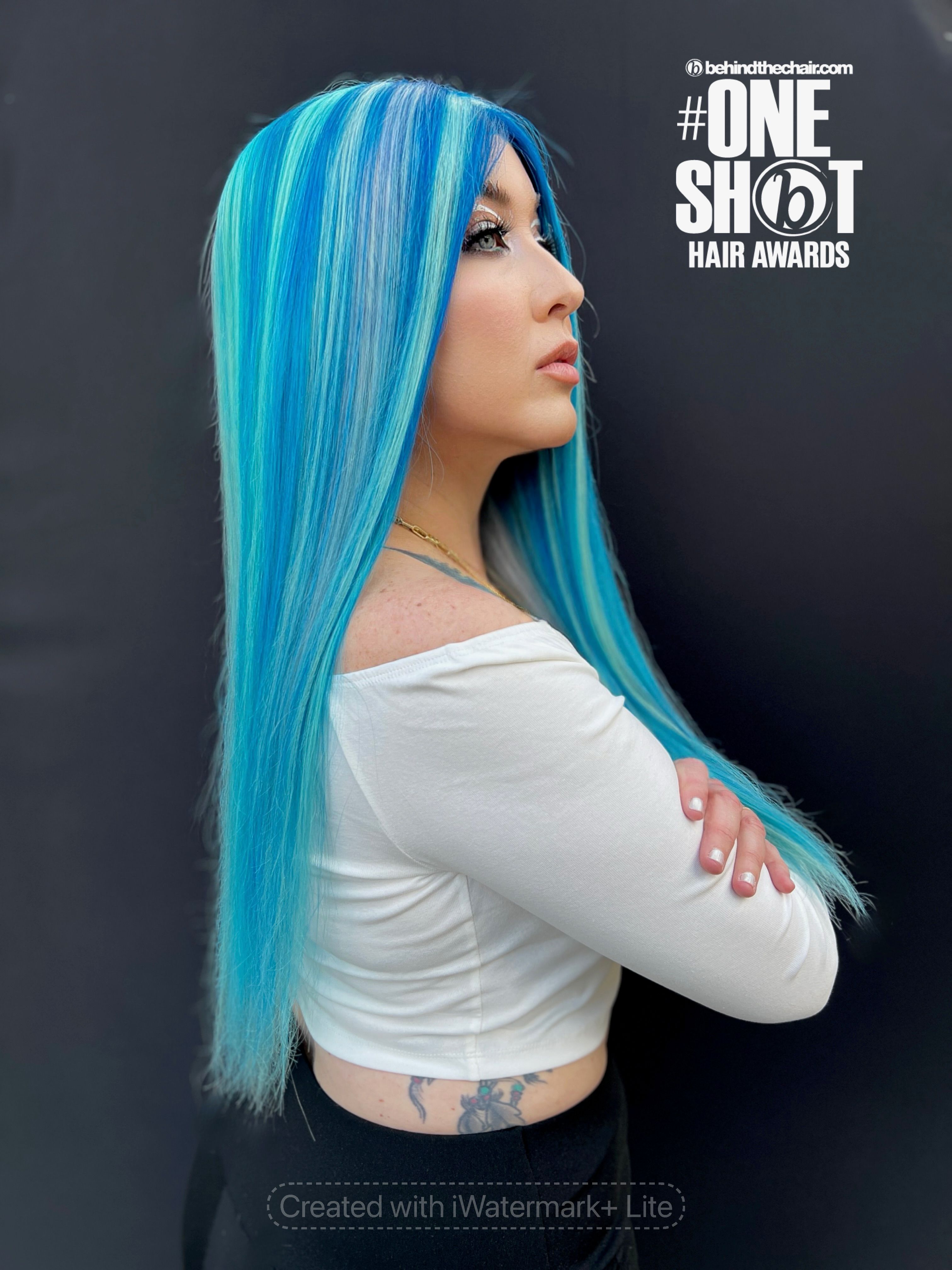 Neal Malek — Creative Color ONESHOT Hair Awards entry