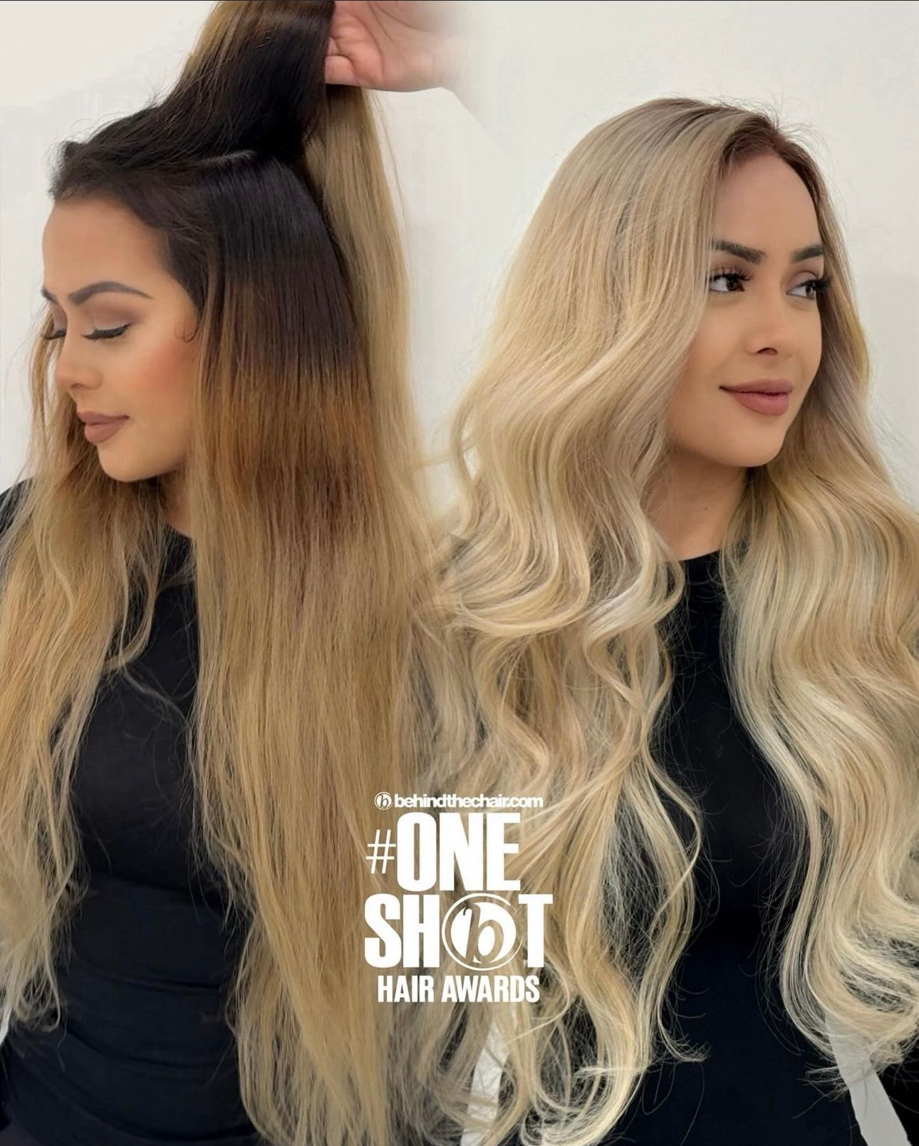 Roxy Akopyan — Color Transformation ONESHOT Hair Awards entry