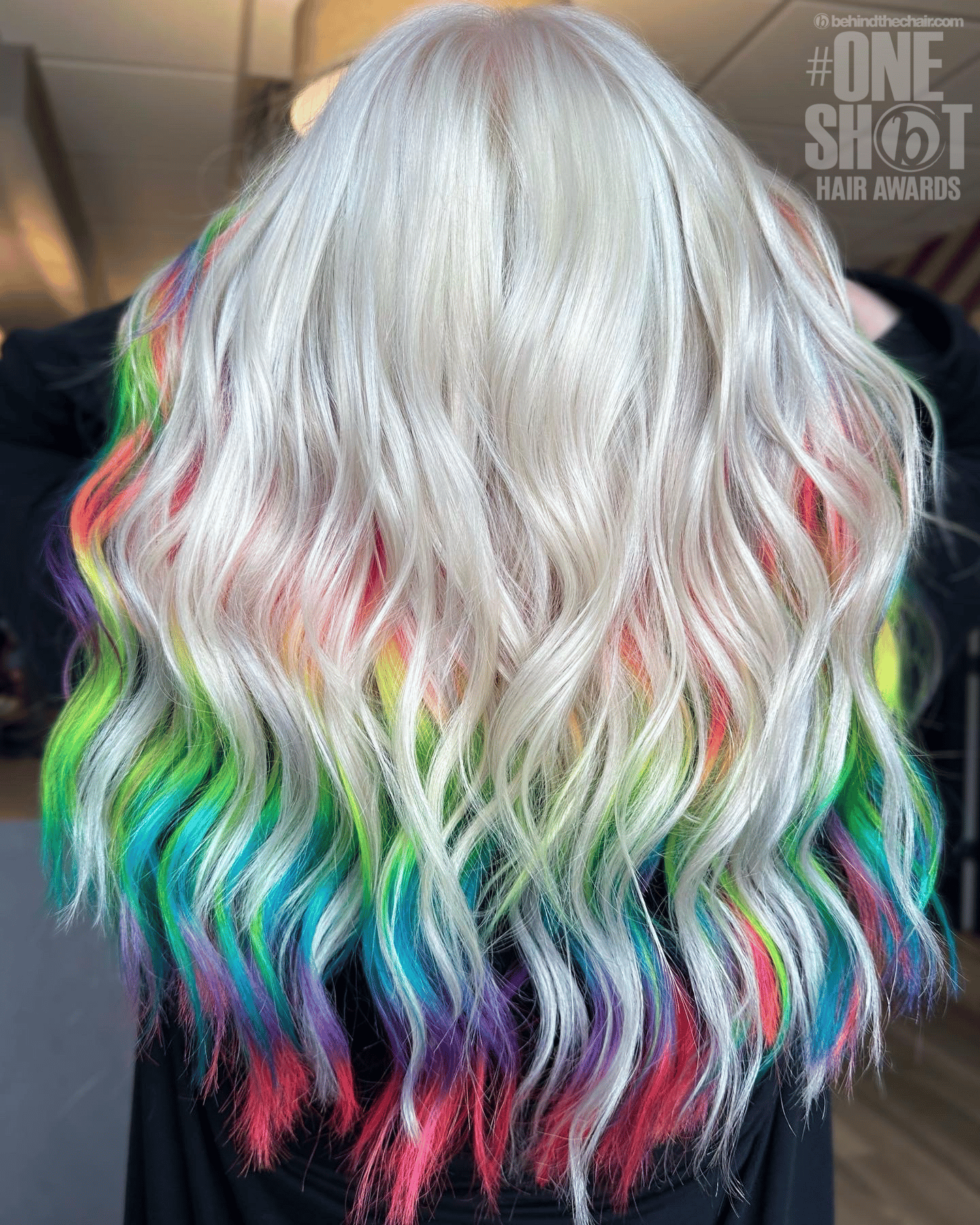 Nicole Wehry — Creative Color ONESHOT Hair Awards entry
