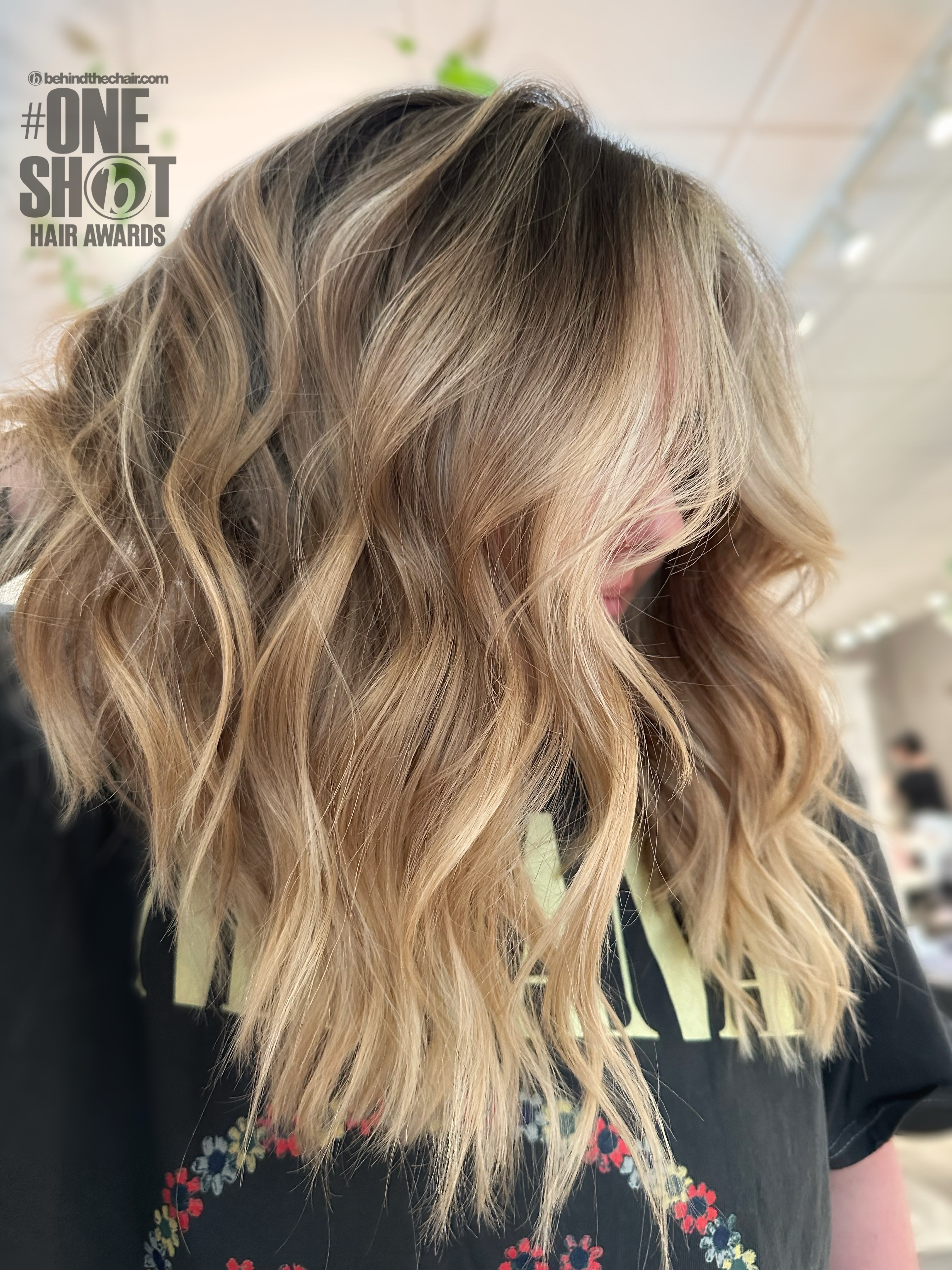 Nicole Wehry — Warm Balayage ONESHOT Hair Awards entry