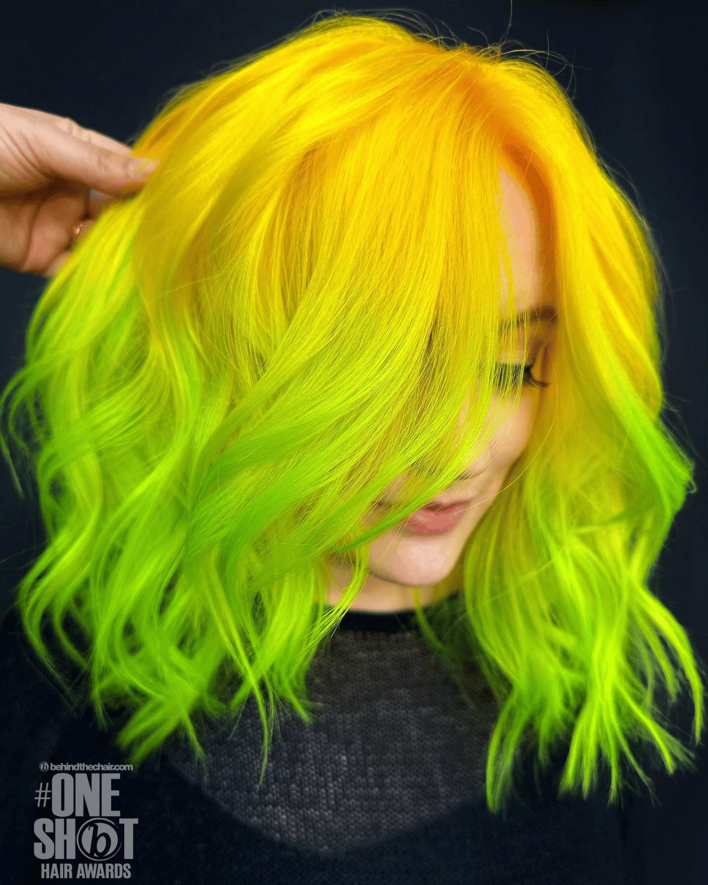 Nicole Wehry — Color Blocking ONESHOT Hair Awards entry