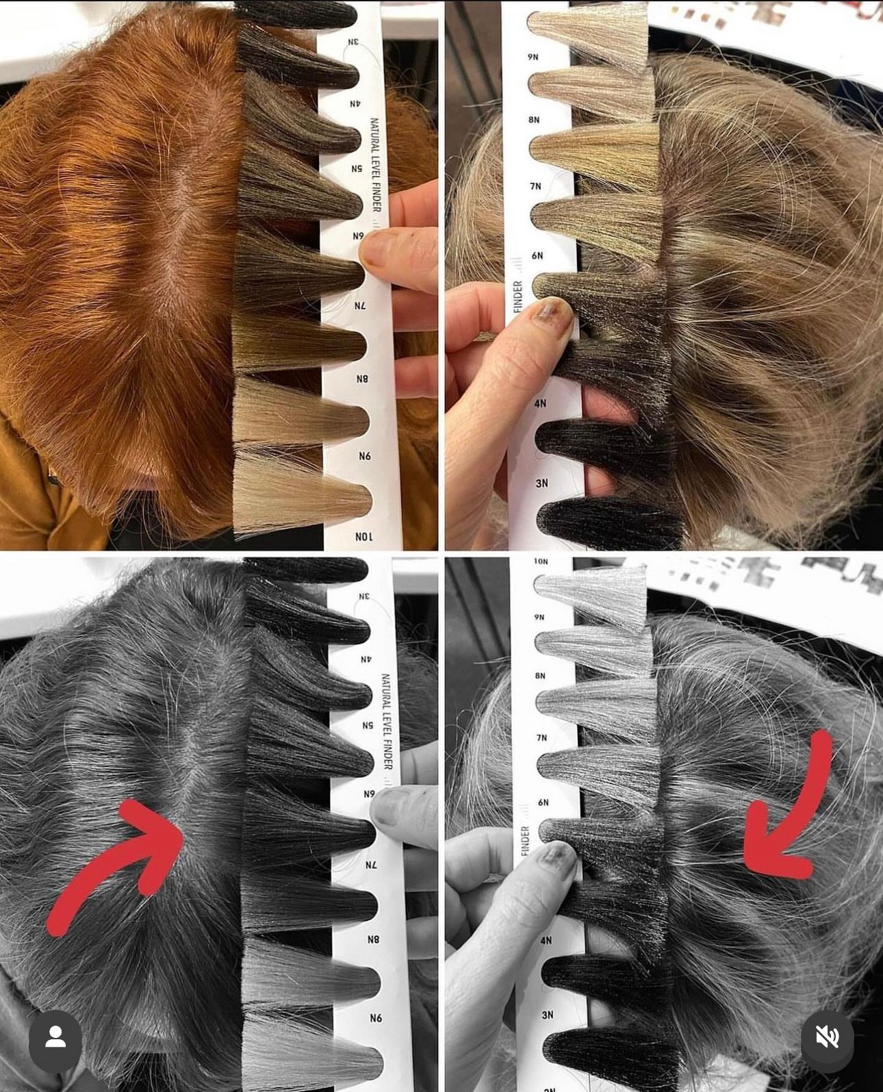 Sally Lemmo — Educational Post ONESHOT Hair Awards entry