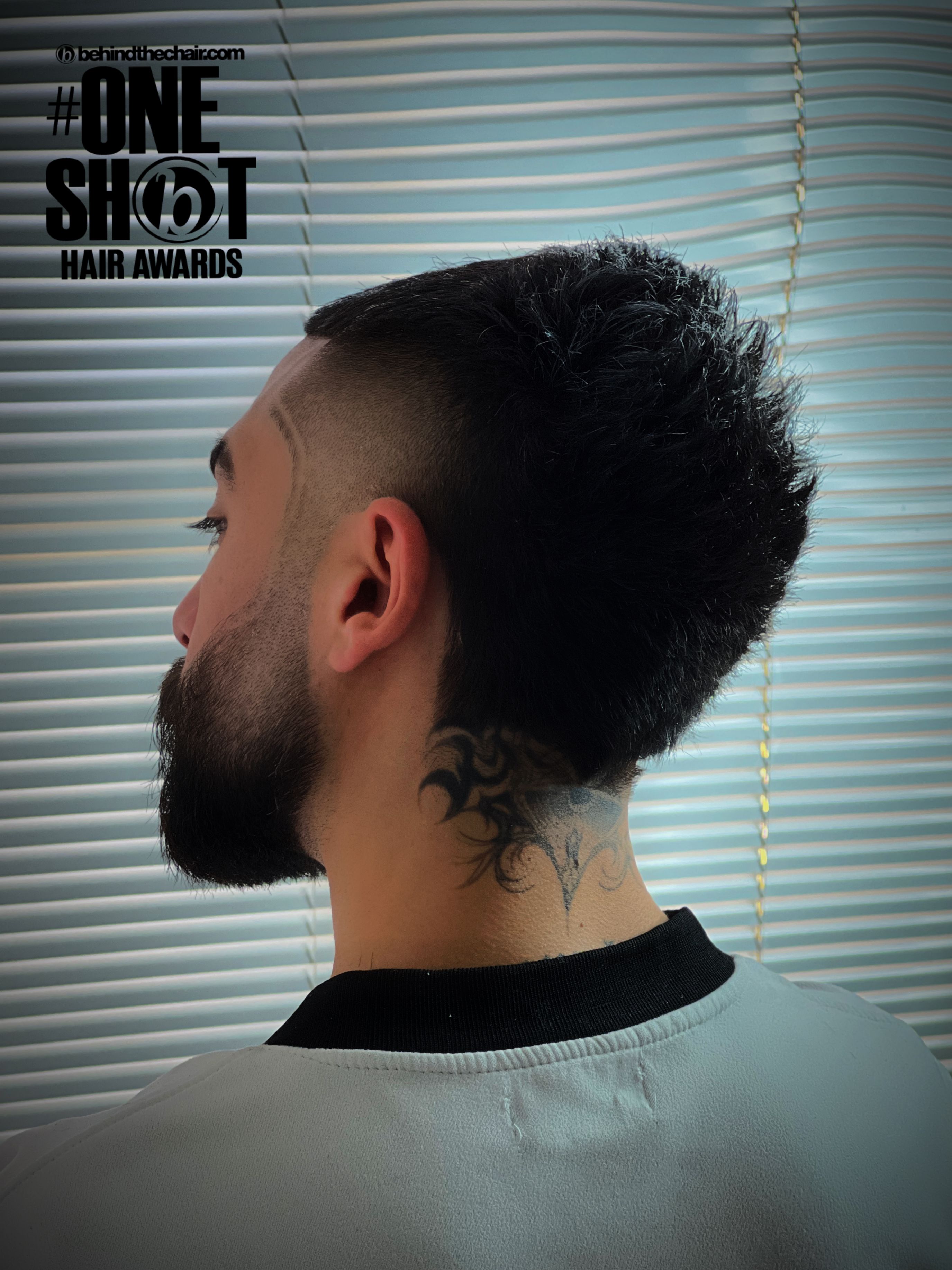 Mohammadreza Rouhani — Men's Cut ONESHOT Hair Awards entry