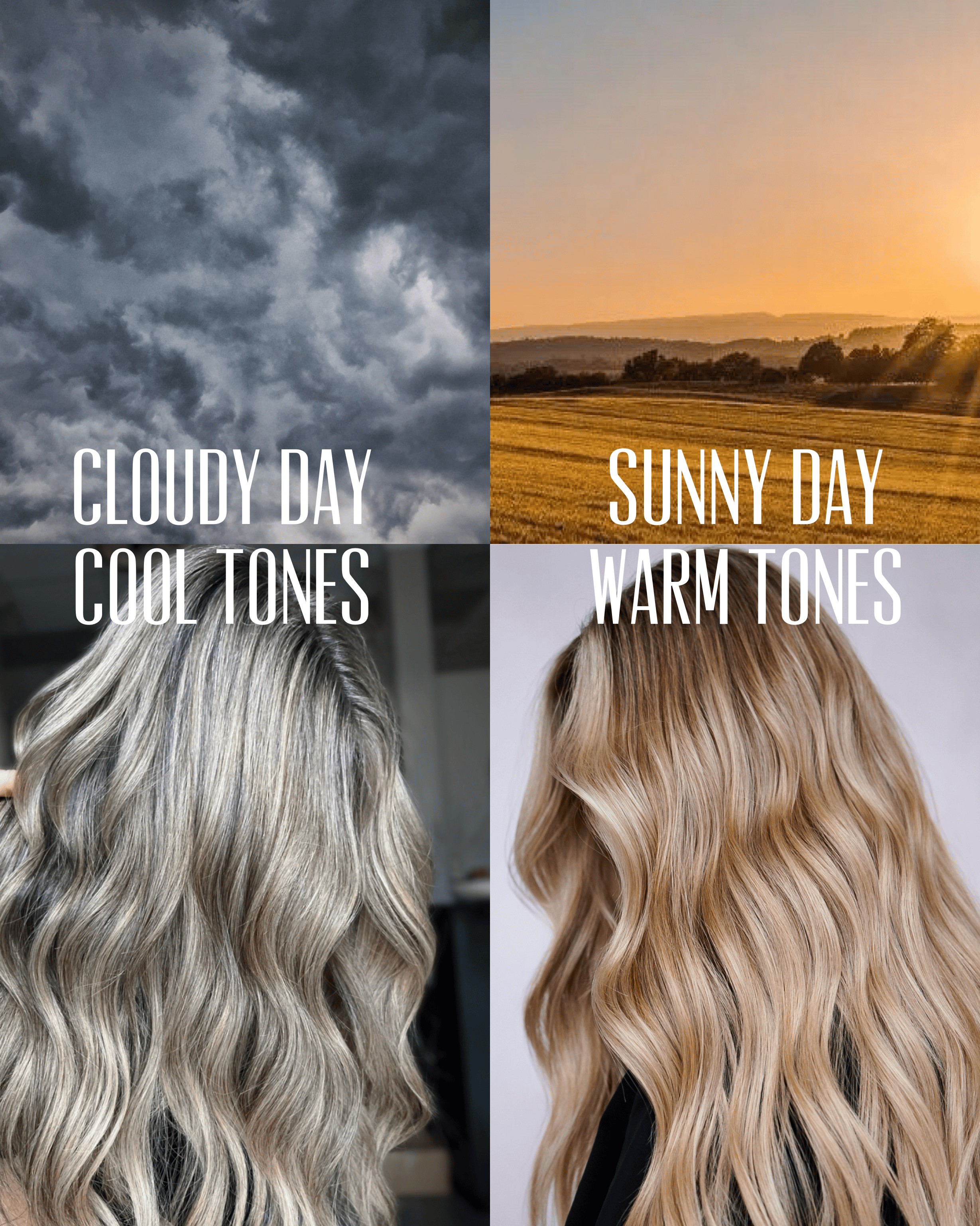 Allison Moncheck — Educational Post ONESHOT Hair Awards entry