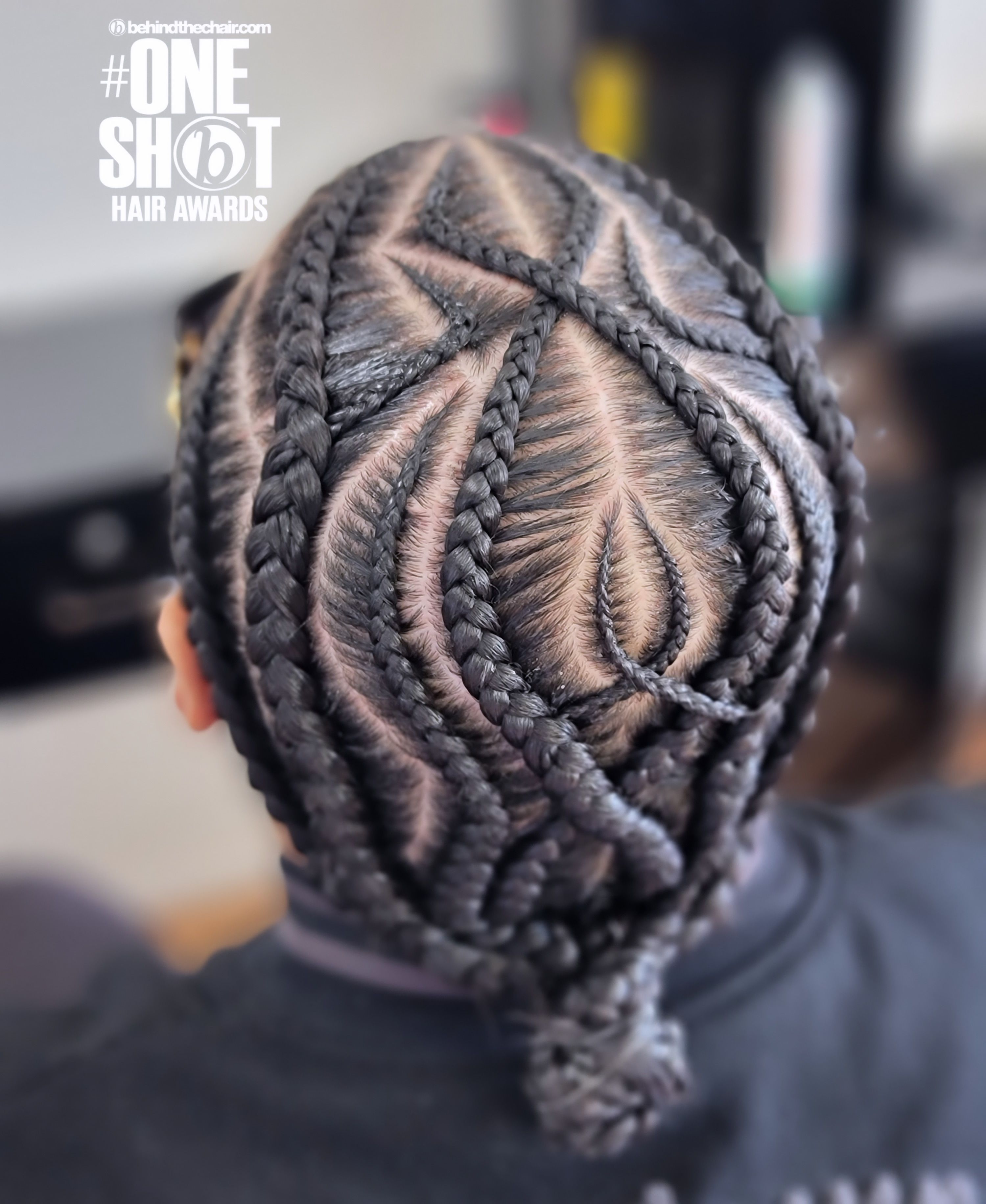 Lleraldina Lopez — Intricate Braids & Twists ONESHOT Hair Awards entry