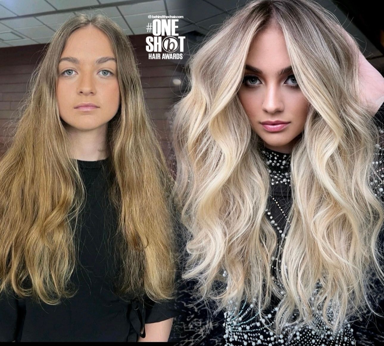 Lisa Hernandez — Color Transformation ONESHOT Hair Awards entry